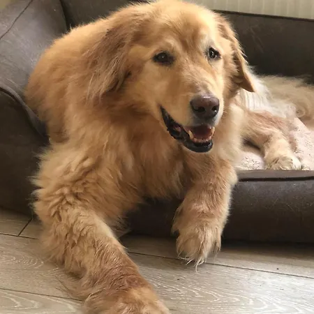 בית נופש Atempause