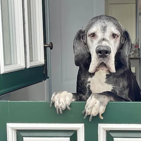 Atempause Krummhörn