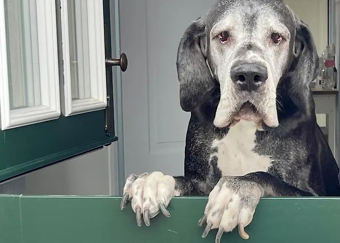 Atempause Krummhörn